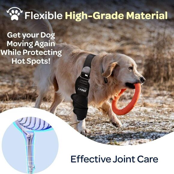 Labra Dog Canine K9 Shoulder Elbow Callus Pain Relief Brace Wrap Sz M Right Leg - Picture 5 of 8